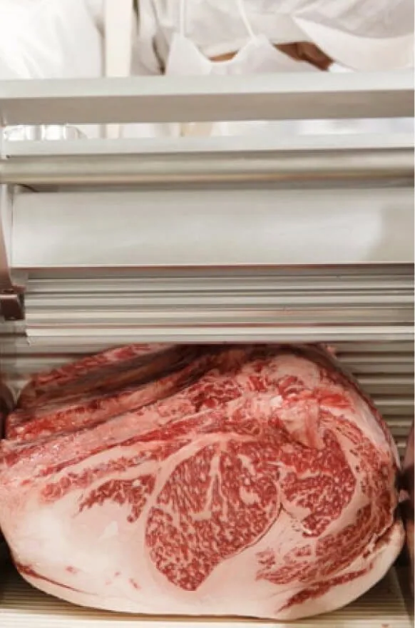 ビジネスデベロップメント事業 3